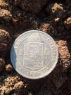 Ag : 1 Forint ( zlatník ) FJI 1879 Kremnica