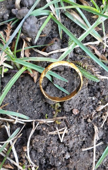 Zlatý dámský snubni prsten