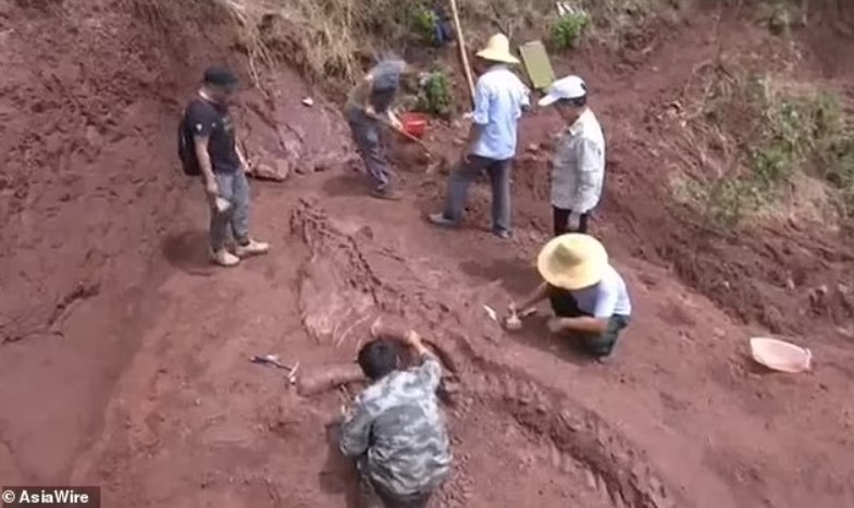 A unique eight-metre-long dinosaur skeleton - the so-called Lufengosaurus - has been found in China
