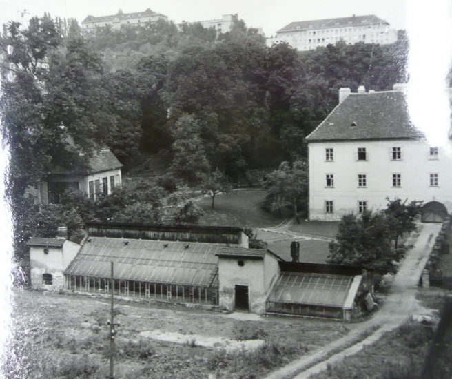 Überreste von Mendels Gewächshaus in Brünn