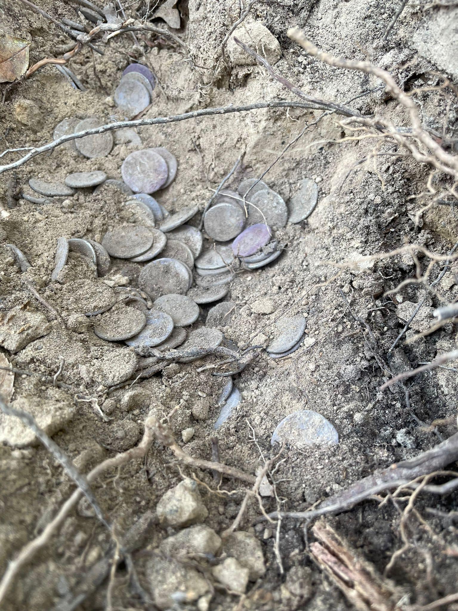 Našel přes 2 000 let staré římské mince za statisíce; odměny se vzdal