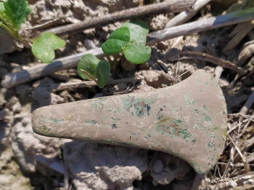 The oldest copper axe in Poland discovered during a club detector event